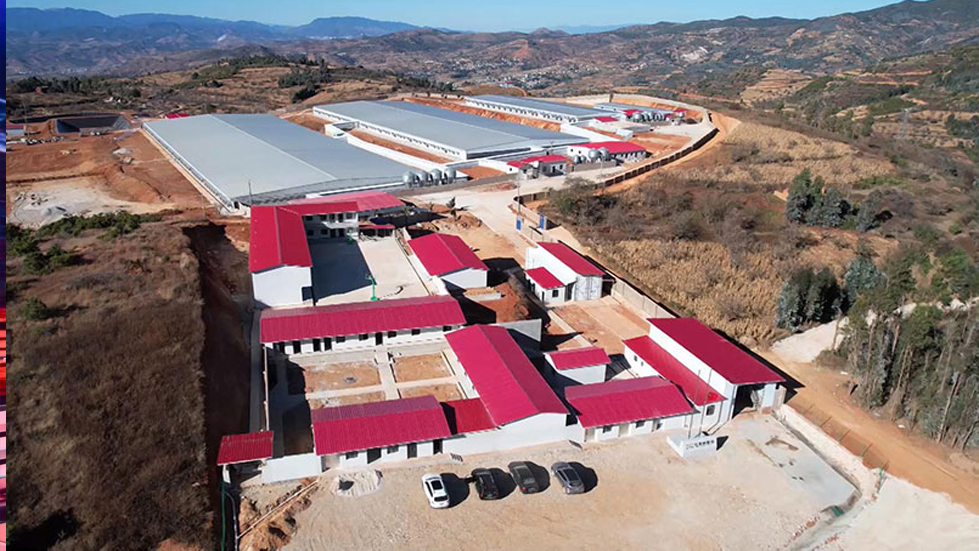 第二屆上海城市基層黨建創(chuàng)新案例征集正式啟動(dòng)